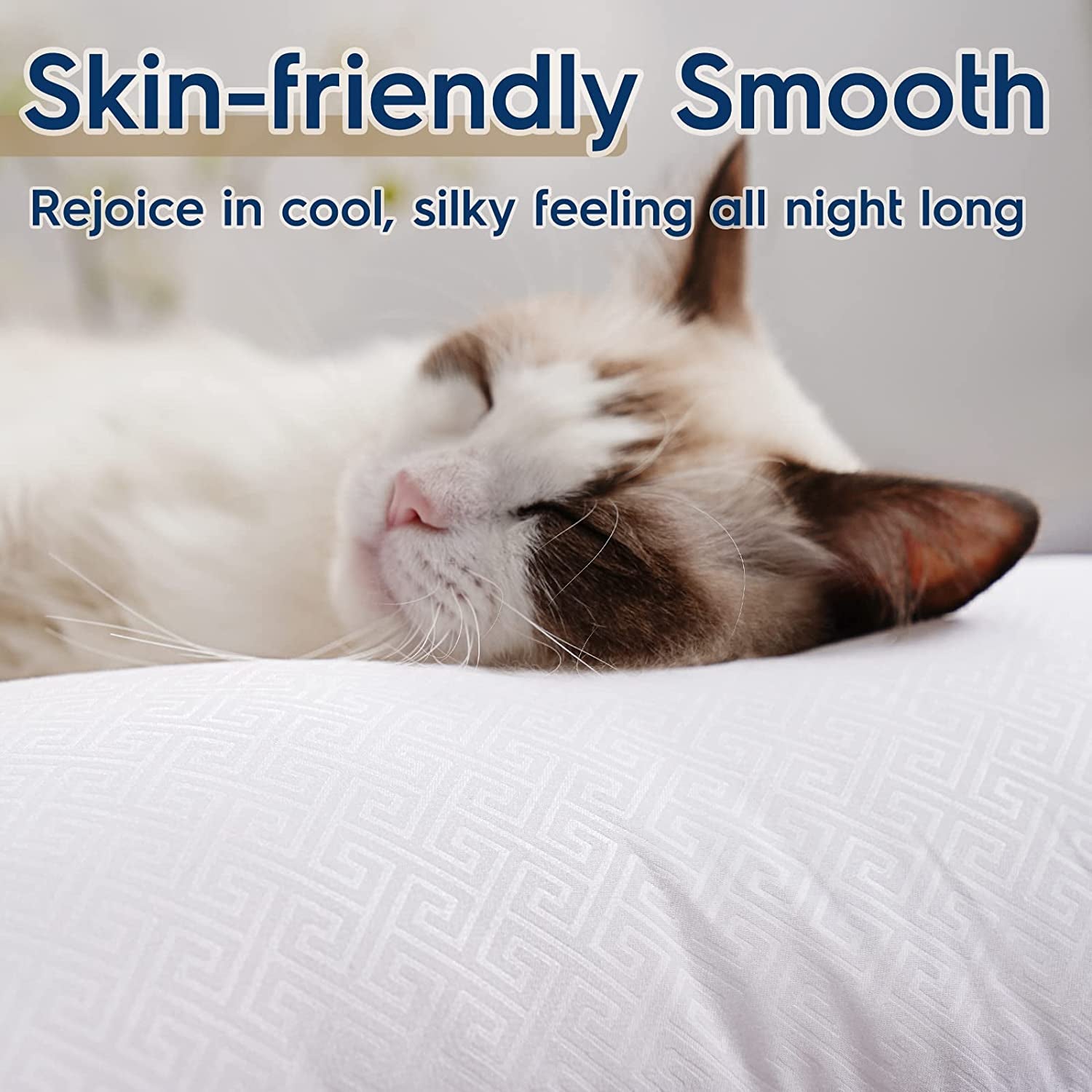 Pillows Queen Size 2 Pack, Bed Pillows for Sleeping, for Back, Stomach or Side Sleepers, Hotel Quality Pillows with down Alternative, Easy Care, 20" X 30"