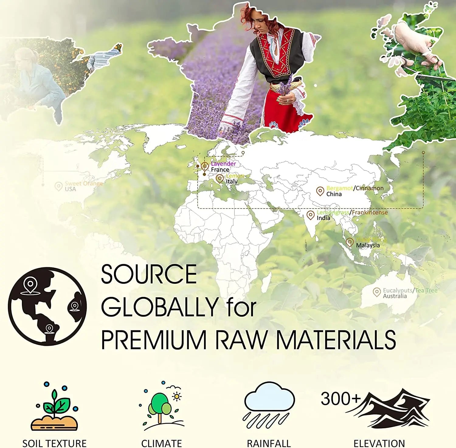 Essential Oils Gift Set, Top 12 100% Natural Aromatherapy Oils - Lavender, Rosemary, Eucalyptus, Frankincense, Lemon, Ylang Ylang, and More Diffuser Oils for Massage, Hair Care