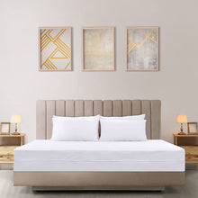 Load image into Gallery viewer, Zippered Mattress Encasement Full - 100% Waterproof and Bed Bug Proof Mattress Protector - Absorbent, Six-Sided Mattress Cover
