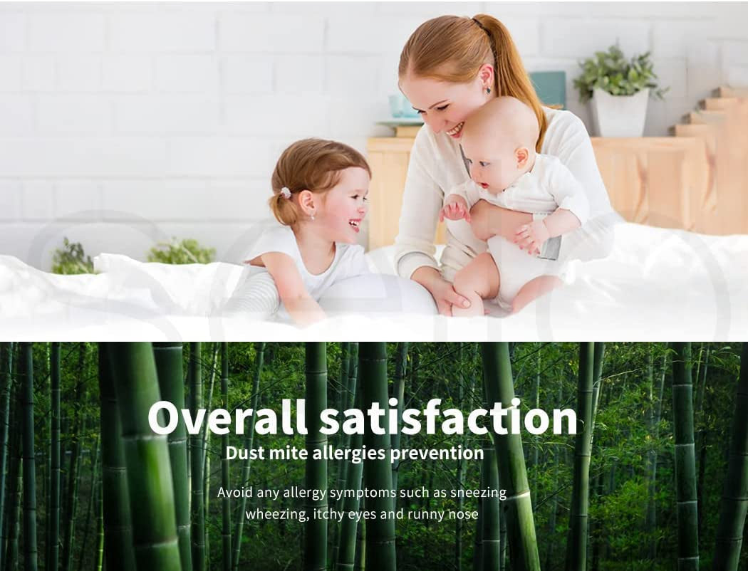 Terry Cotton Fully Fitted Waterproof Mattress Protector in Queen Size