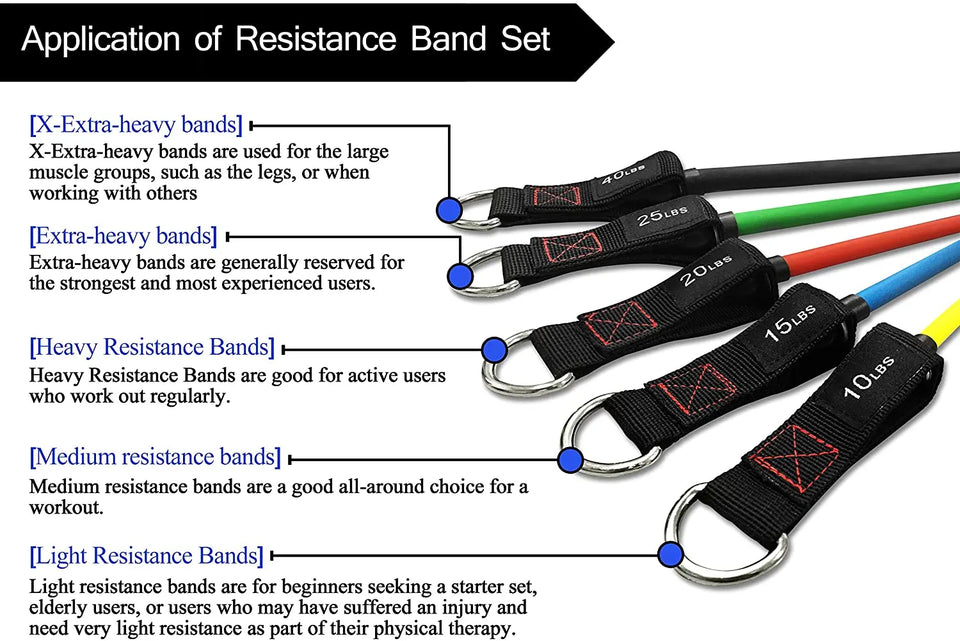 TheFitLife Exercise Resistance Bands with Handles - 5 Workout Bands Stackable up to 110 lbs, Ankle Straps, Door Anchor Attachment, Bag Pattan Australia