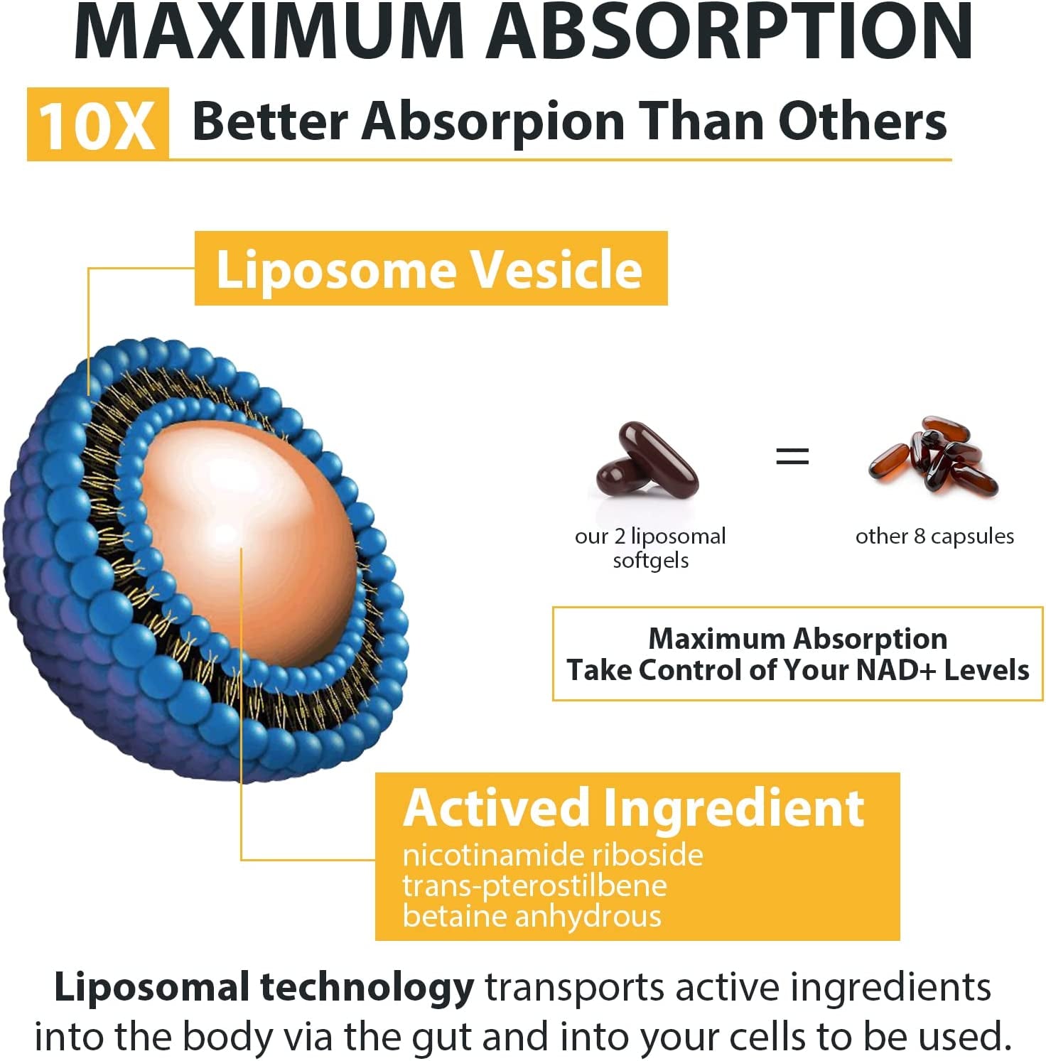 Liposomal Nicotinamide Riboside 2000 MG with TMG and Pterostilbene, Similar to NMN Supplements Boost NAD+, Metabolism Booster Support Healthy Aging ,120 Count