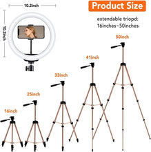 Load image into Gallery viewer, Selfie Ring Light with Tripod Stand, Ring light with Remote &amp; Phone Holder for YouTube/Tiktok Stream/Makeup, LED Circle Light Tripod (Brown)
