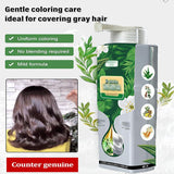 Pure Plant Extract for Grey Hair Color Bubble Dye, Plant Bubble Hair Dye Shampoo, Plant Essence Bubble Hair Dye, Household Easy-To-Wash Hair Washing Color Cream (Chestnut Brown)
