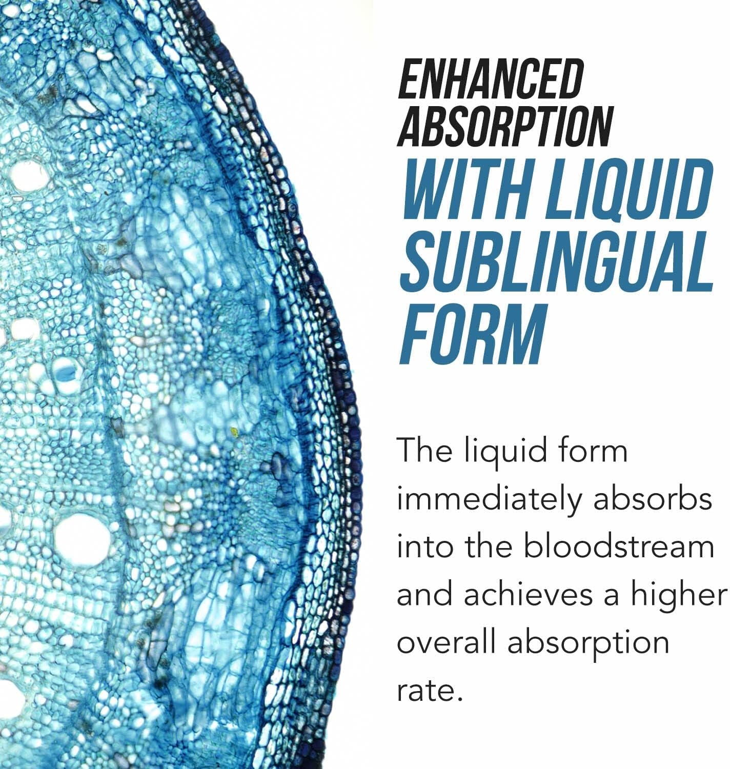 L Methyl Folate 15Mg plus Methyl B12 Cofactor – Organic, Cherry Flavor, Professional Strength, Liquid Sublingual, Active 5-MTHF Form - Supports Mood, Homocysteine Methylation, Cognition (60 Servings)