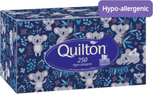 Load image into Gallery viewer, Hypo Allergenic 2 Ply 250 Facial Tissues Pack, 12 Packs
