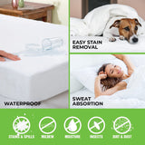 [2PCE] Home Master PVC Queen Bed Mattress Protector with Elastic Fit, Plastic - White