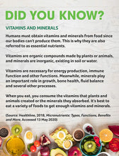 Load image into Gallery viewer, 50+ Multivitamin for Energy - Comprehensive Formula Containing 27 Ingredients - Multi Vitamin 100 Capsules
