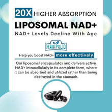 Load image into Gallery viewer, Liposomal NAD+ 1000 MG — Supplement — Supports Energy and Metabolism — Promotes Healthy Aging — Enhances Brain Function — 120 Day Supply
