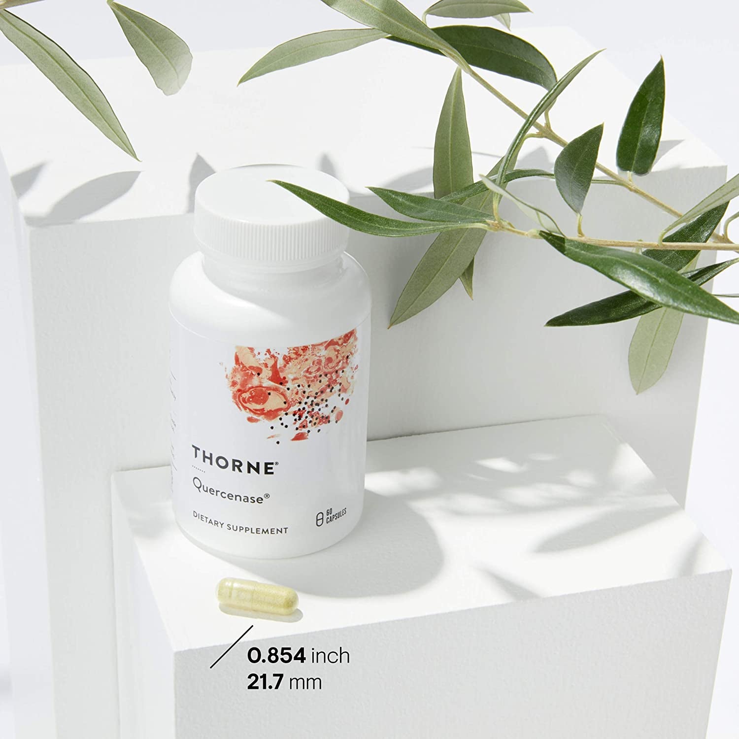 - Quercenase - Quercetin Phytosome Supplement with Bromelain - 60 Capsules