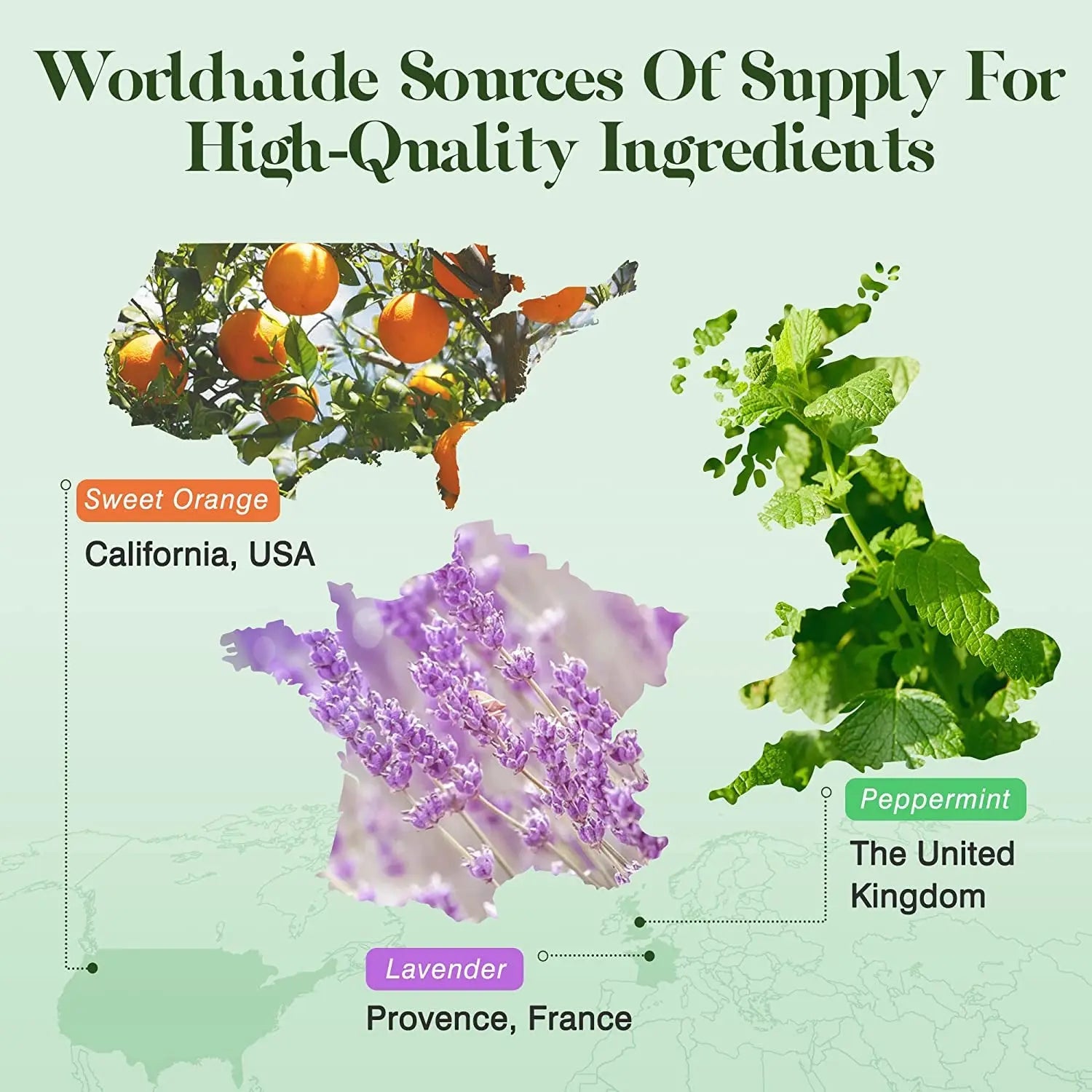 Essential Oils Set 6 X 10Ml, 100% Pure & Natural Aromatherapy Oils - Lavender, Eucalyptus, Lemongrass, Tea Tree, Sweet Orange, Peppermint Diffuser Oil for Massage Hair Care Wellness Gift Set