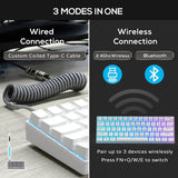 RK61 60% Mechanical Keyboard with Coiled Cable, 2.4Ghz/Bluetooth/Wired, Wireless Bluetooth Mini Keyboard 61 Keys, RGB Hot Swappable Brown Switch Gaming Keyboard with Software - White