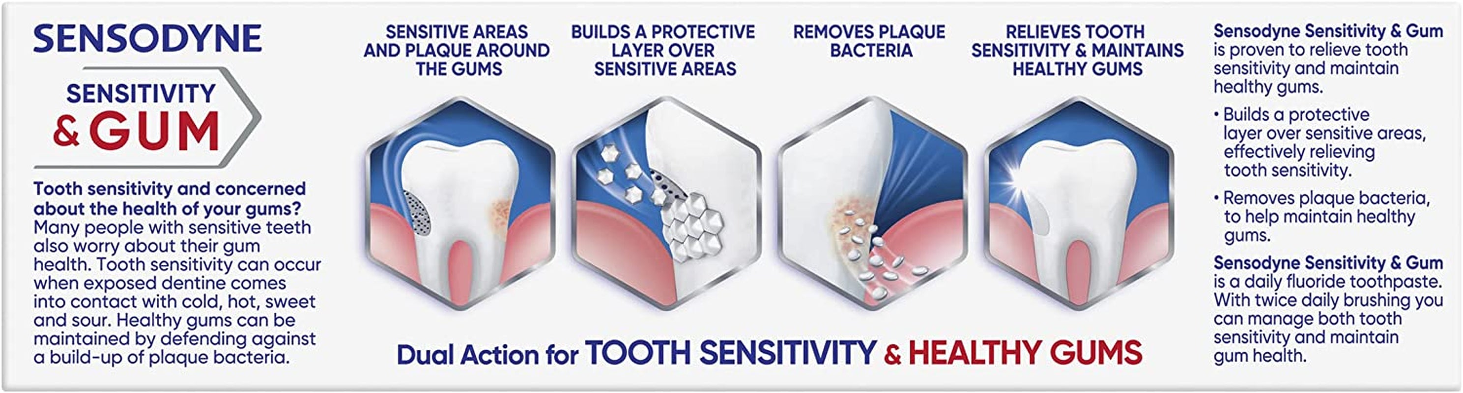 Sensitivity & Gum Dual Action Sensitive Toothpaste, 100 G (Pack of 1)
