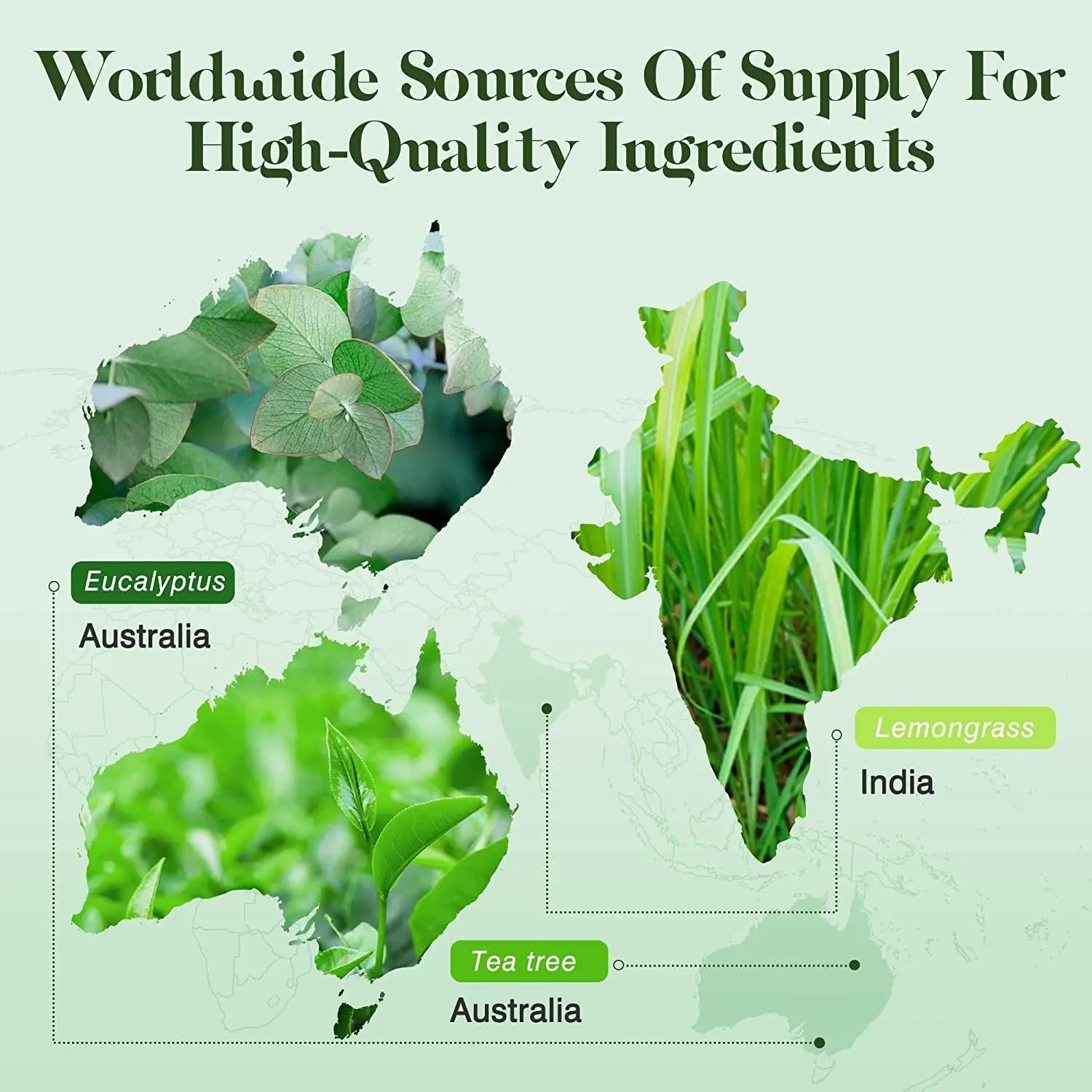 Essential Oils Set 6 X 10Ml, 100% Pure & Natural Aromatherapy Oils - Lavender, Eucalyptus, Lemongrass, Tea Tree, Sweet Orange, Peppermint Diffuser Oil for Massage Hair Care Wellness Gift Set