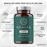 Life - Cell Energy for Optimized Aging & Long-Term Health | NAD Supplement with Niacinamide, Resveratrol, Vitamin B3, Niacin for NAD+ Support (160 Capsules)