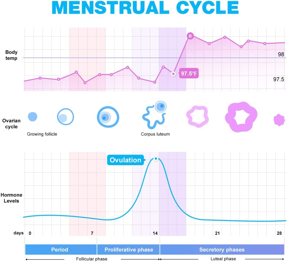 Ovulation Test Strips, 25 Pack Fertility Tests, Ovulation Predictor Kit, FSA Eligible, Powered by Premom Ovulation Predictor Ios and Android App, 25 LH Strips