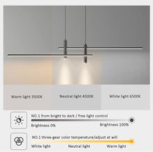 Load image into Gallery viewer, Modern Dimmable LED Pendant Lighting for Kitchen Island - Linear LED Chandelier with Spotlights, Adjustable Hanging Light for Dining Table, Black 120Cm/47Inch, Energy Class A, Iok34-003
