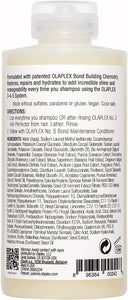 No.4 Bond Maintenance Shampoo, 250Ml