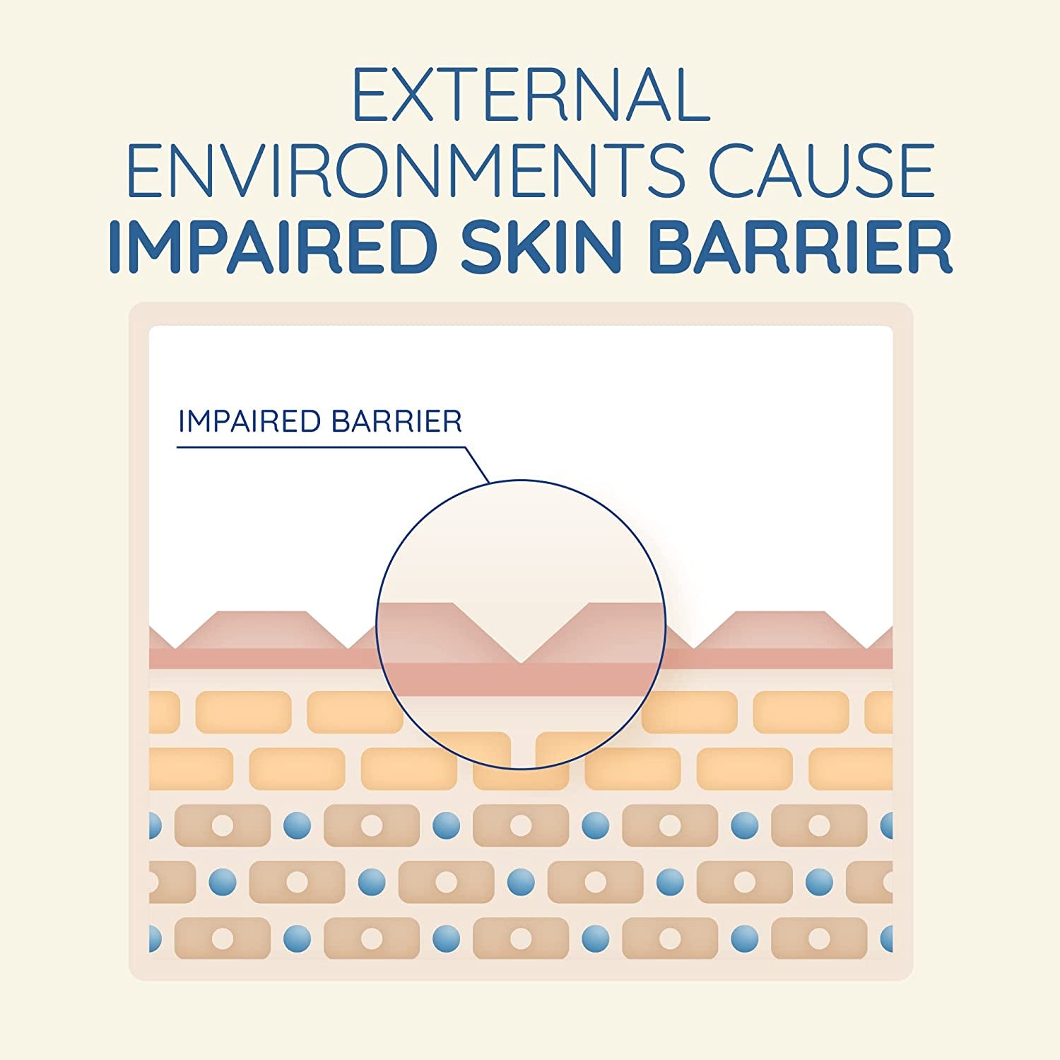 Active Naturals Skin Relief Fragrance Free Body Wash 1L