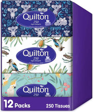 Load image into Gallery viewer, Hypo Allergenic 2 Ply 250 Facial Tissues Pack, 12 Packs
